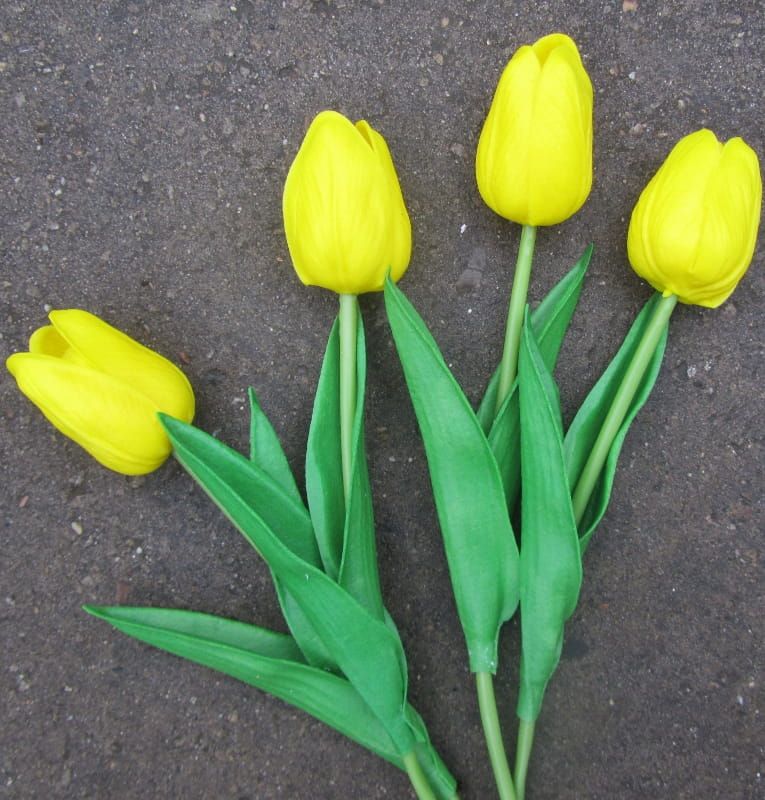 TULPJES - REAL TOUCH GEEL