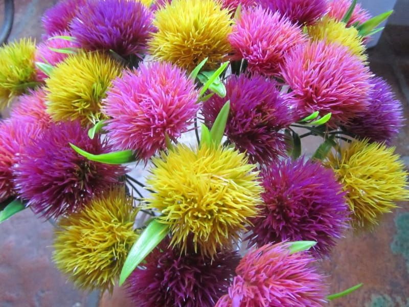 KLAVER KUNST BLOEMEN TAKJES - ROZE