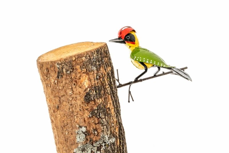 GROENE SPECHT OP TAK - STREET ART - FAIRTRADE