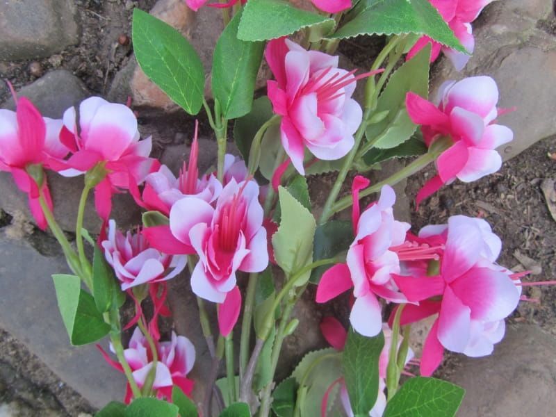 PRACHTIGE FUCHSIA KUNST TAK (BELLENPLANT) ROZE