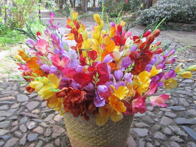 GLADIOOL - KUNST  (KORT) WIT