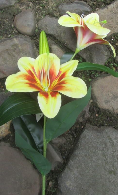 LELIE - KUNST - GEEL