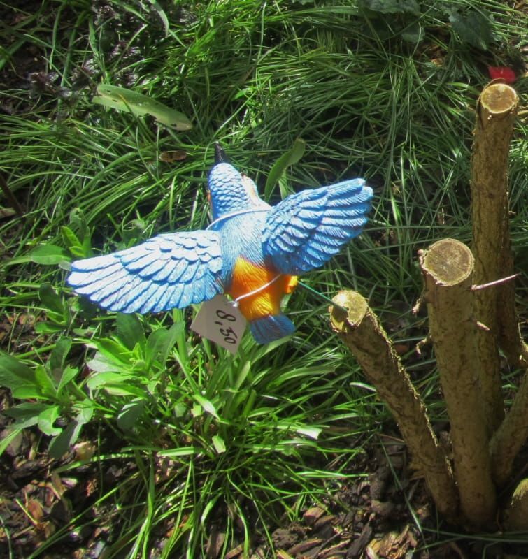 IJSVOGELTJE - THE BEAUTY.....OP STEKERTJE