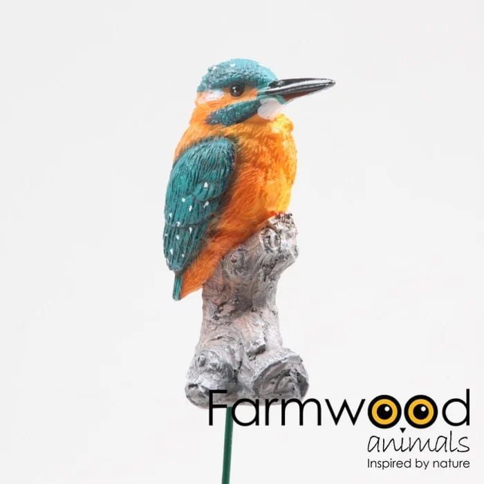 IJSVOGELTJE - THE BEAUTY.....OP STEKERTJE (1)