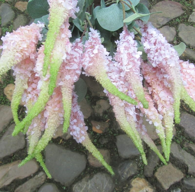 SETARIA KUNST BLOEMEN TAK