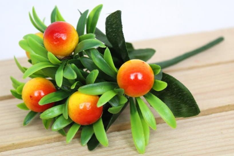 TAKJE KUNST MET BESJES