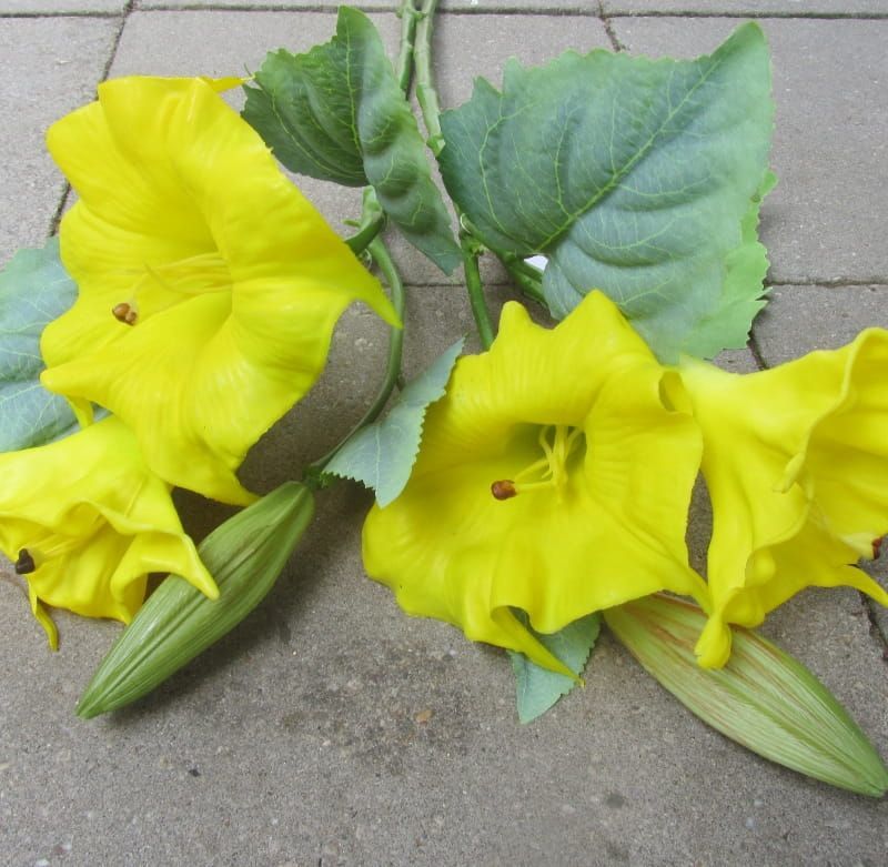 OPRUIMING - DATURA KUNST TAK - REAL TOUCH - 3,50 NU 2 EURO - GEEL