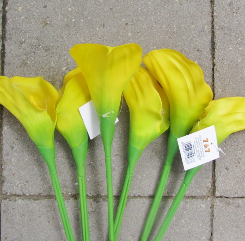CALLA KUNST BLOEM