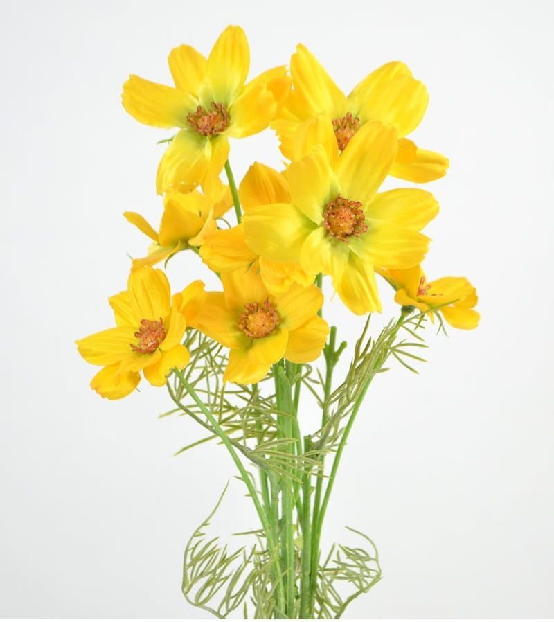 COSMEA - KUNST - ZONNIG GEEL