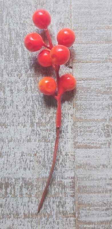 BESSEN TAKJES - KUNST - SET 6 STUKS 2 EURO (1)