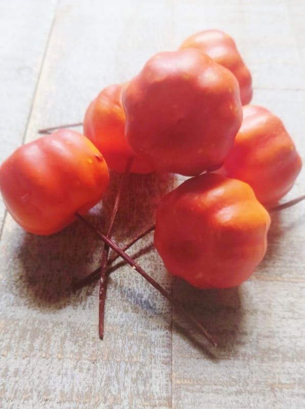 MINI POMPOENTJES - KUNST - SET 6 STUKS 2 EURO