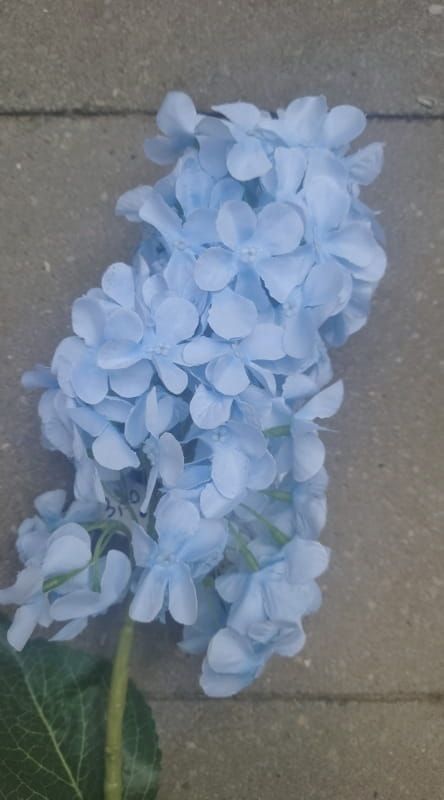 OPRUIMING - HORTENSIA - KUNST - BLAUW VAN 3,50 NU 2 EURO