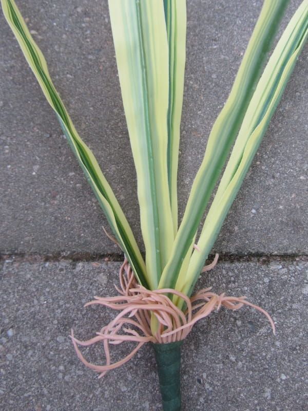 PLANTJE MET WORTELS - KUNST