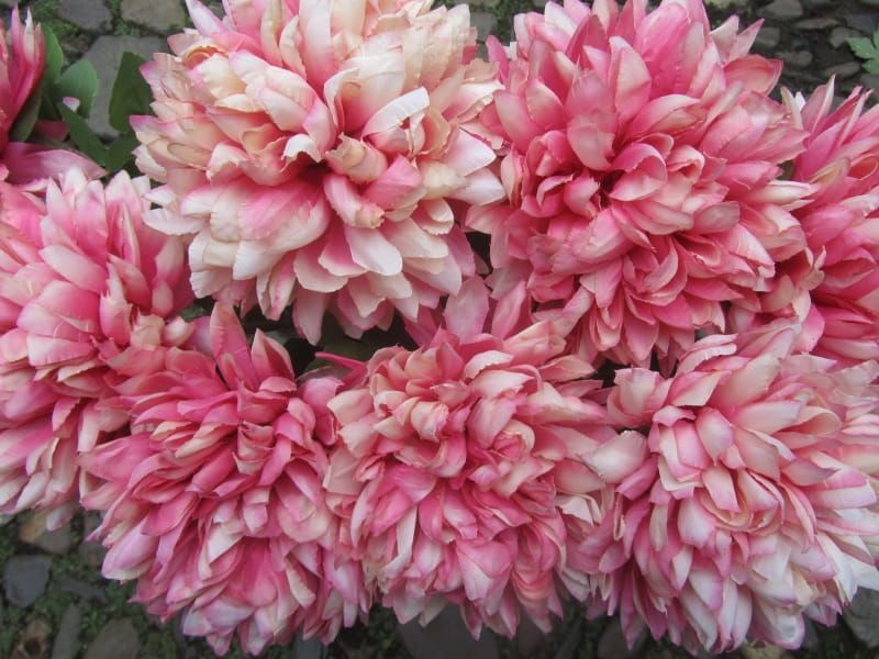 PRACHTIGE KUNST CHRYSANT (2)