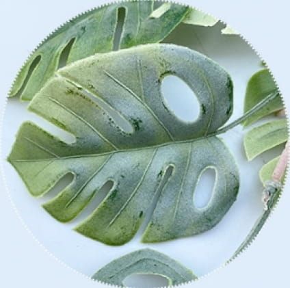 GATENPLANT - TAK - KUNST (1)