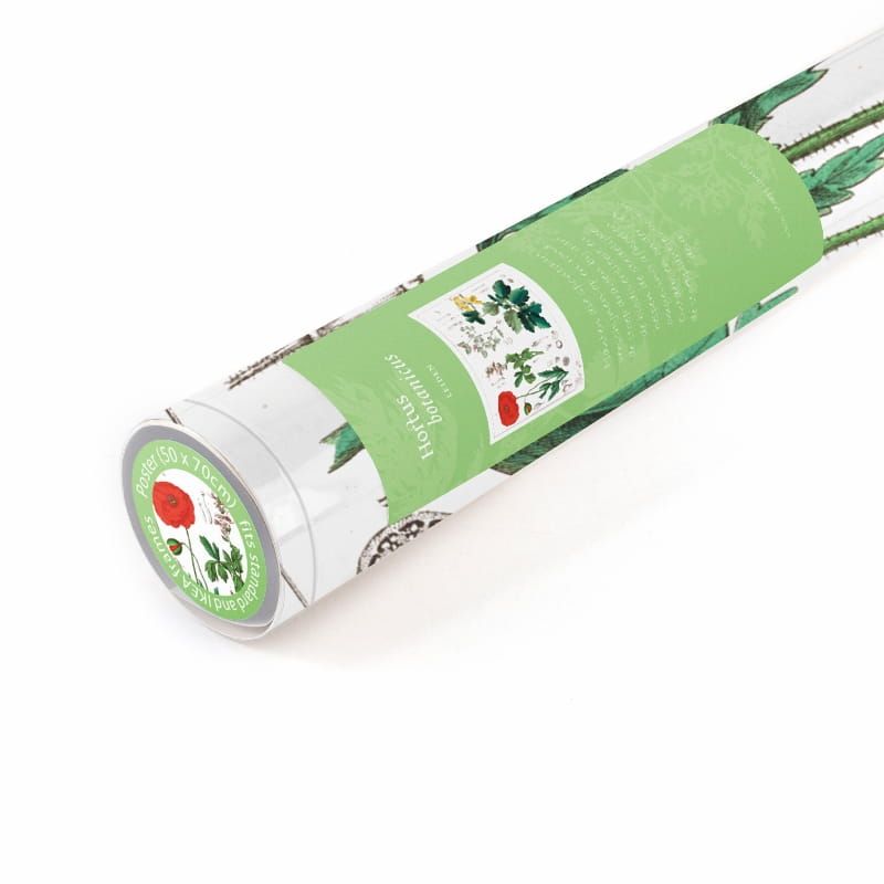 NATUUR AFBEELDINGEN - HORTUS BOTANICUS