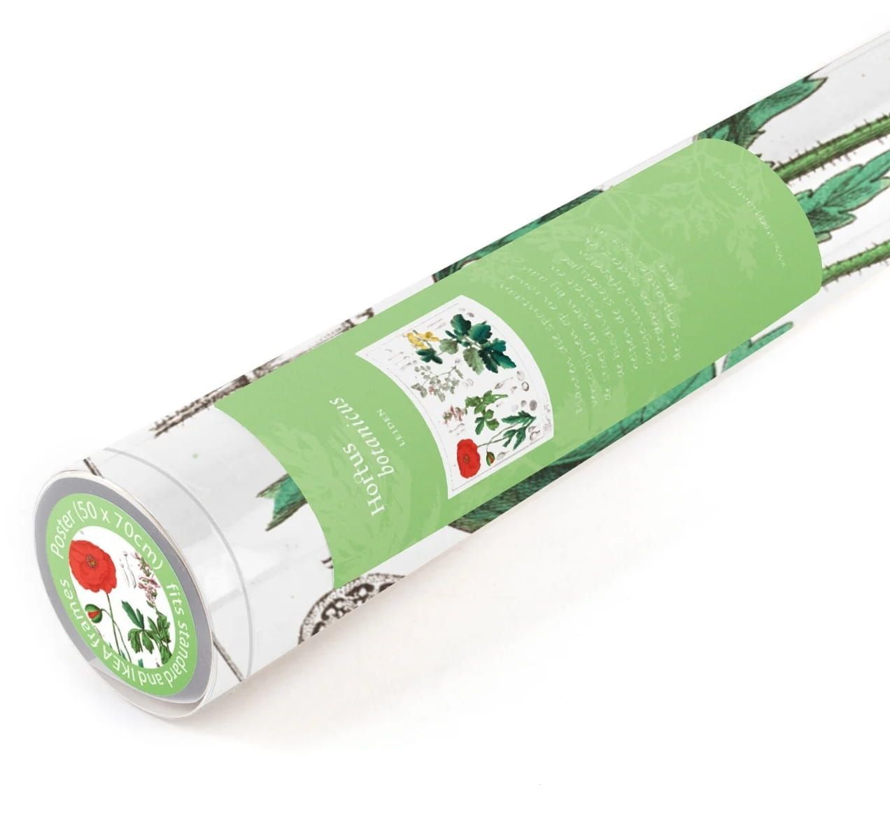 NATUUR AFBEELDINGEN - HORTUS BOTANICUS (2)