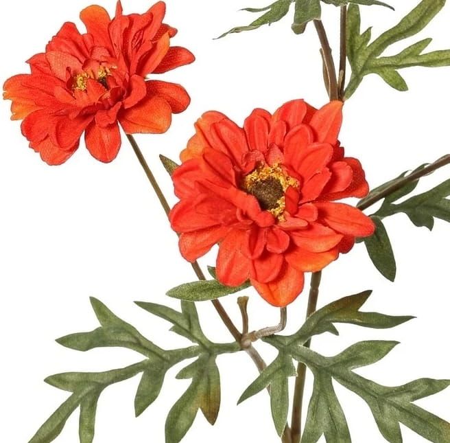 TOP ART - PRACHTIGE DAHLIA TAK