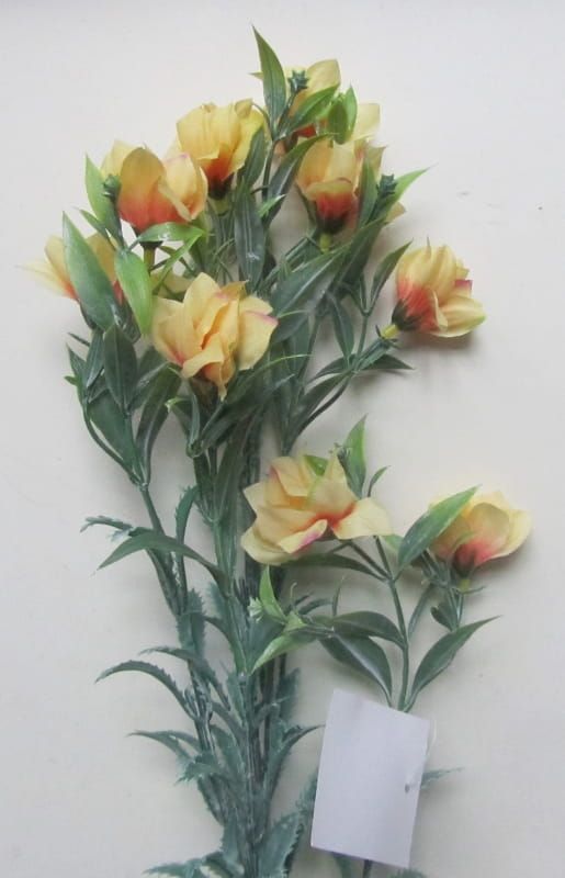 SURFINIA - KUNST TAK - GEEL