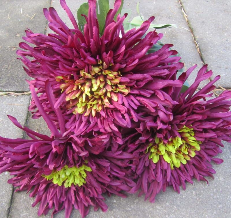 SPIN CHRYSANT - KUNST TAK (2)