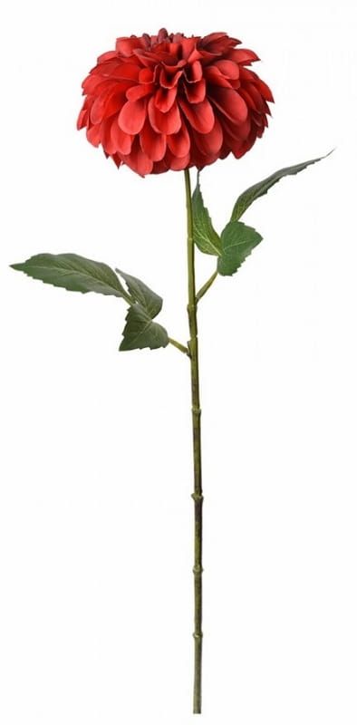 DAHLIA  KUNST - CLAYRE & EEF - ROOD