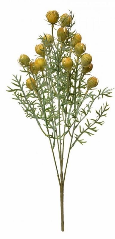 CLAYRE & EEF  - TAK MET SOORT GELE DISTEL BLOEMEN