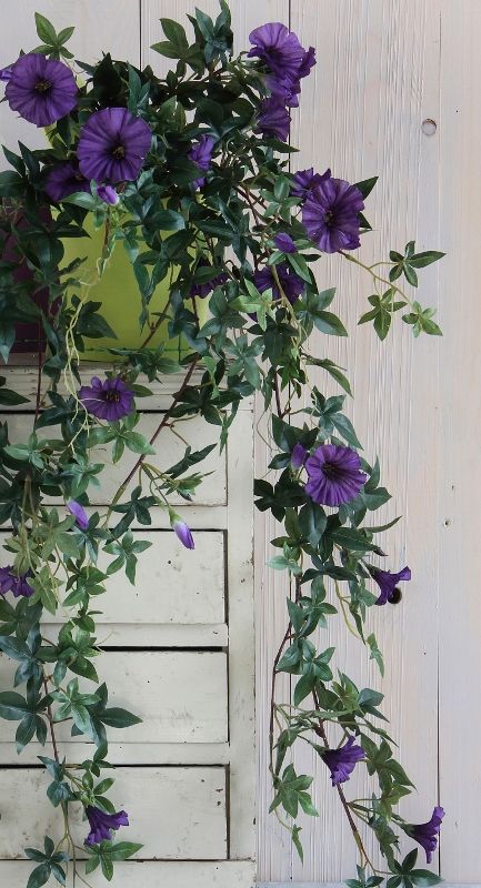 MICA - HANGENDE PETUNIA KUNST - PAARS