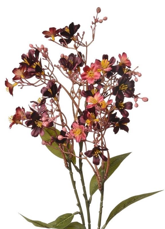 CLAYRE & EEF - KUNST - BLOEMETJES TAK