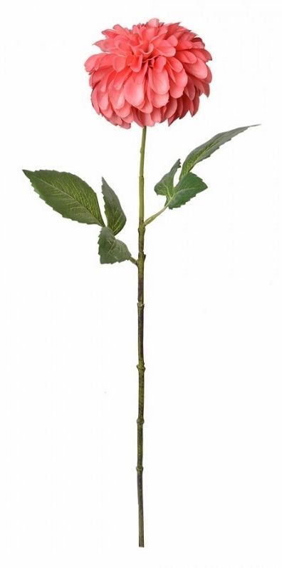 DAHLIA - KUNST - ROZE - CLAYRE & EEF