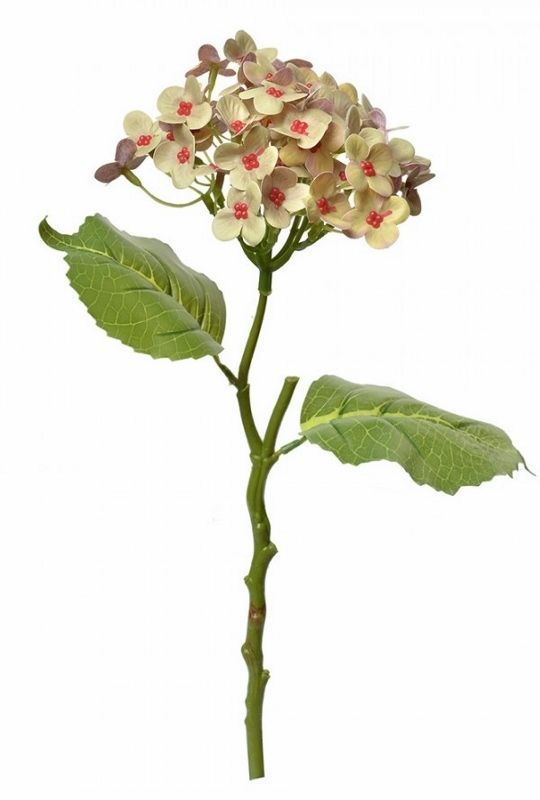 HORTENSIA KUNST TAK - CLAYRE & EEF
