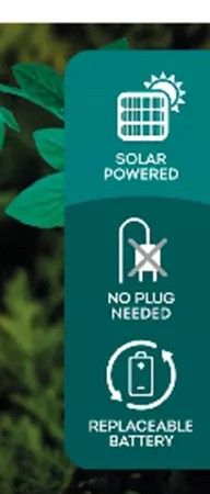 PADDENSTOELTJE - SOLAR - OP STEKER - LUMINEO - GROEN