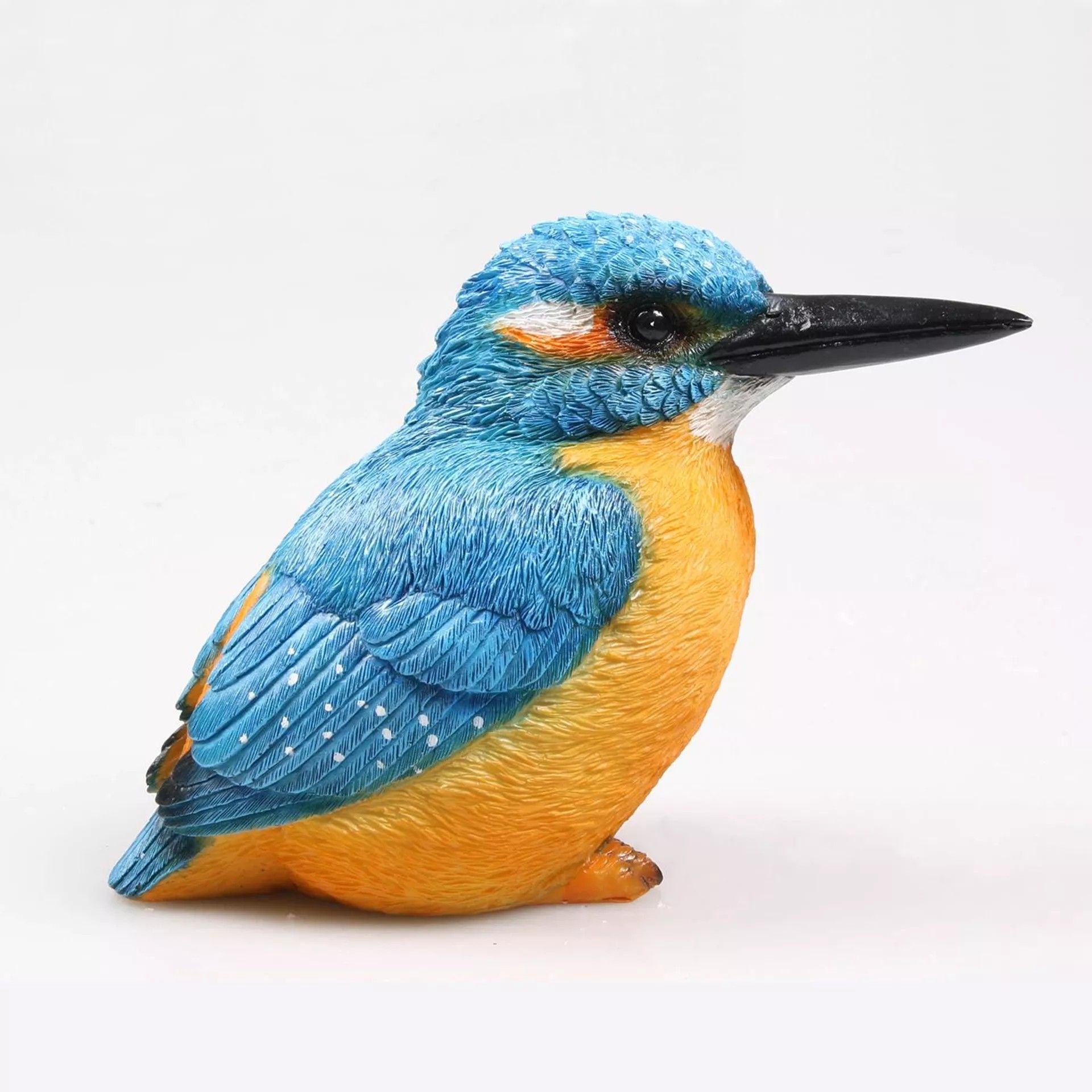 IJSVOGELTJE - THE BEAUTY....(L)