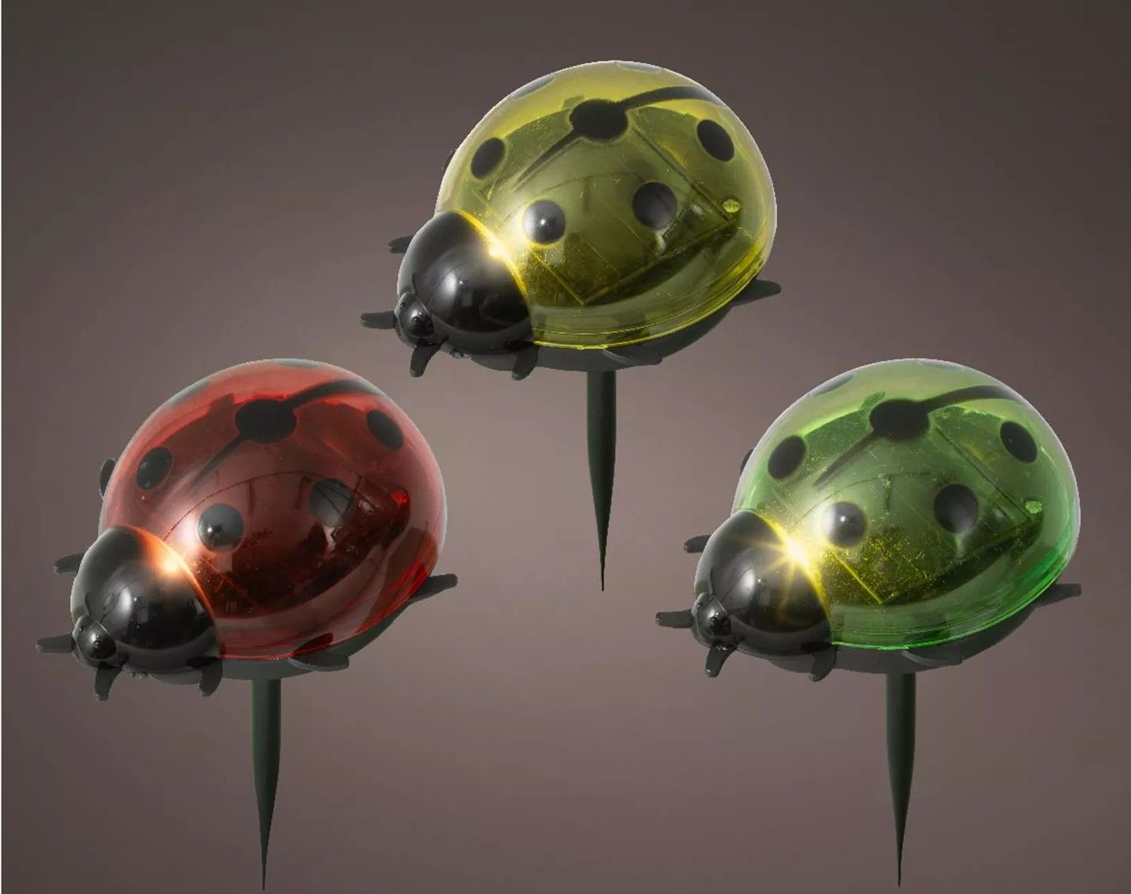 SOLAR - LIEVEHEERS BEESTJE - OP STEKERTJE