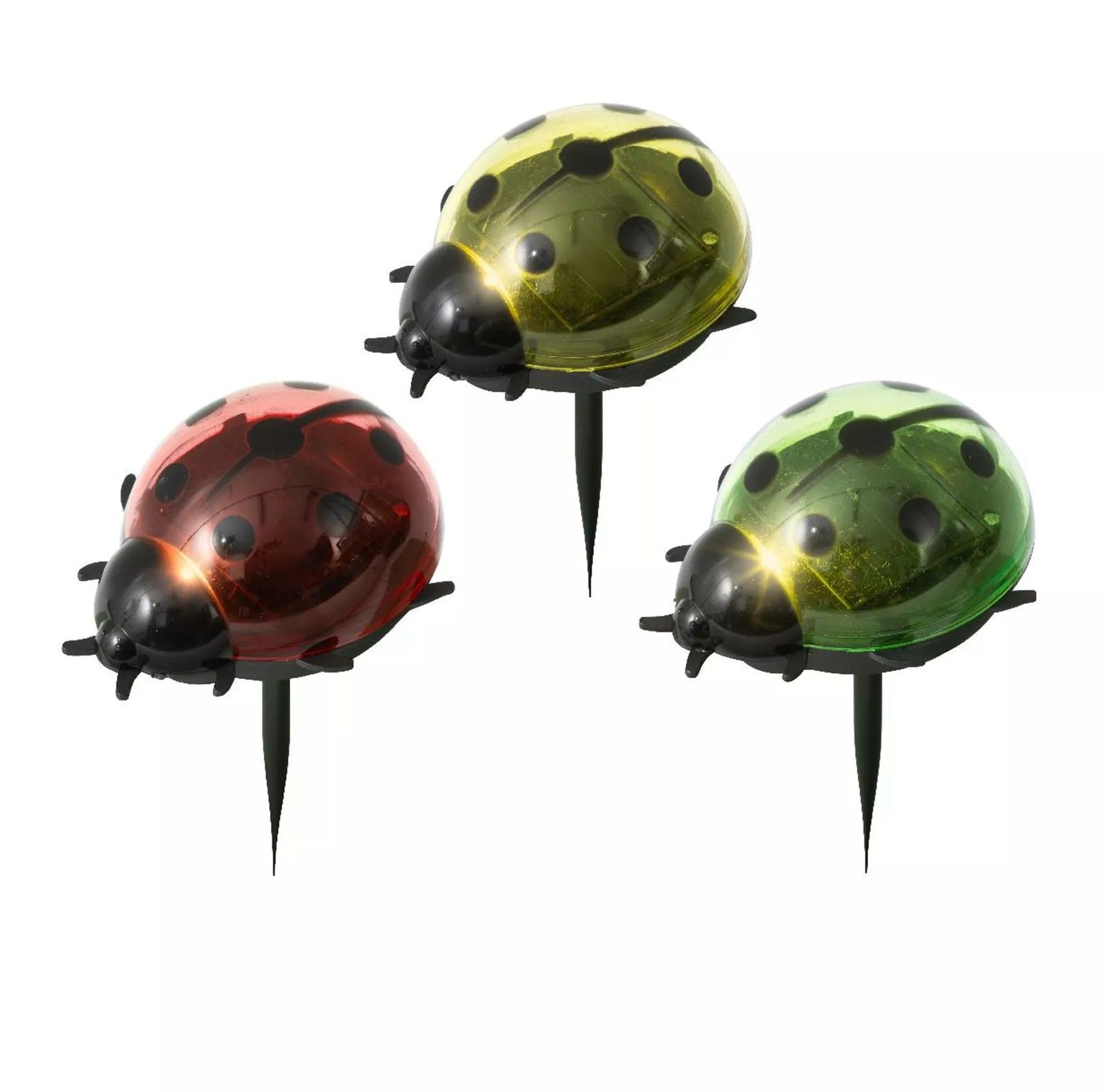 SOLAR - LIEVEHEERS BEESTJE - OP STEKERTJE