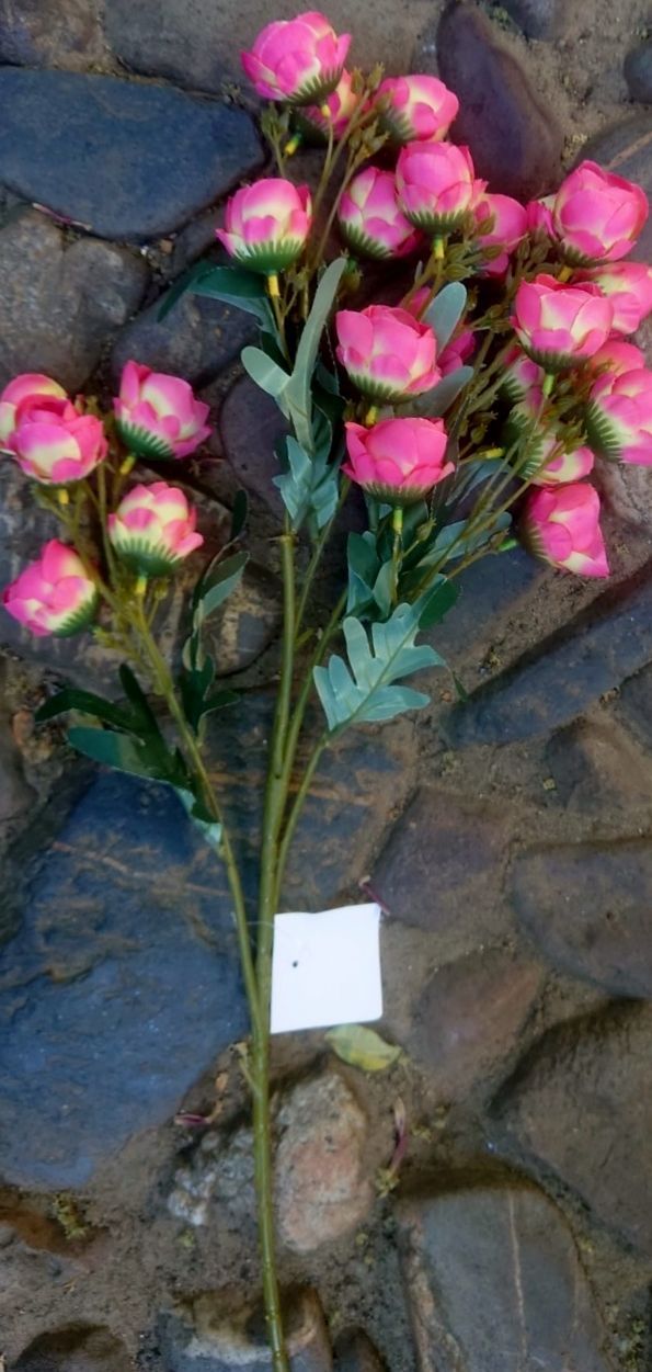 PIOENROOSJES KUNST TAK