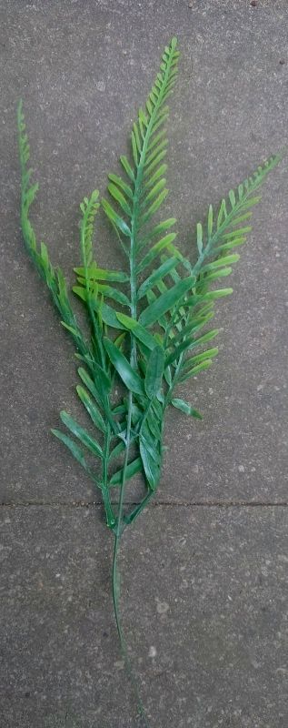 VAREN KUNST TAKJE - KOOPJE