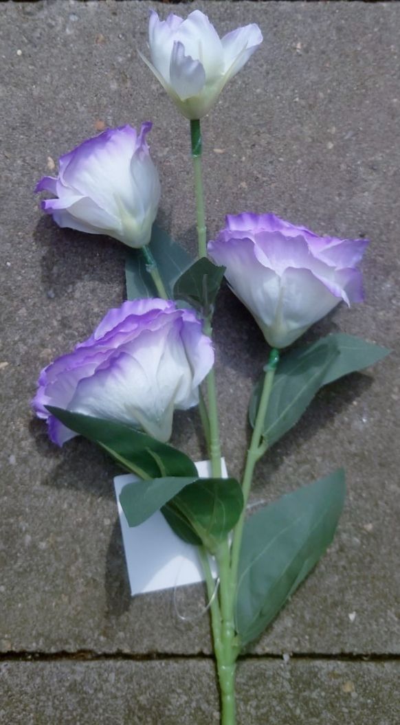 LISIANTHUS - KUNST - LILA PAARS