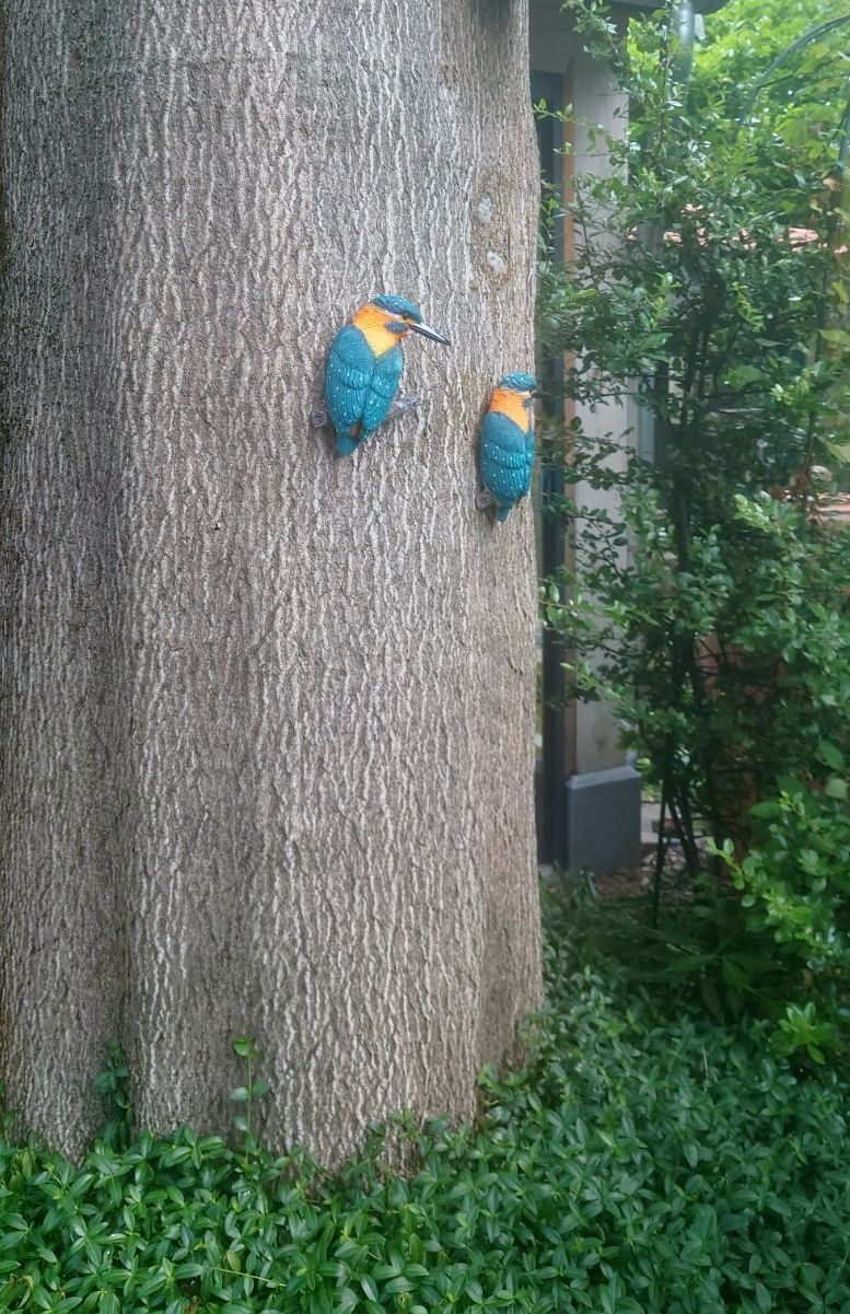 IJSVOGEL - THE BEAUTY