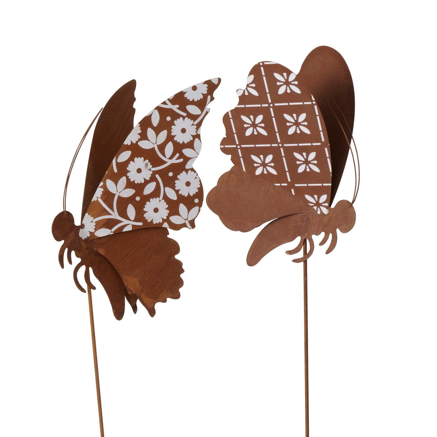 BOLTZE - VLINDERS OP TUINSTEKER