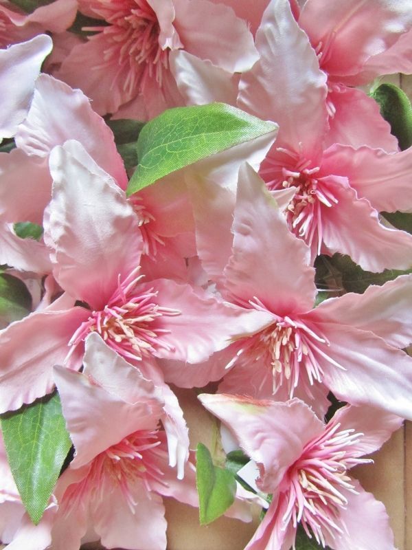 CLEMATIS - TAKJE - KUNST - ROZE