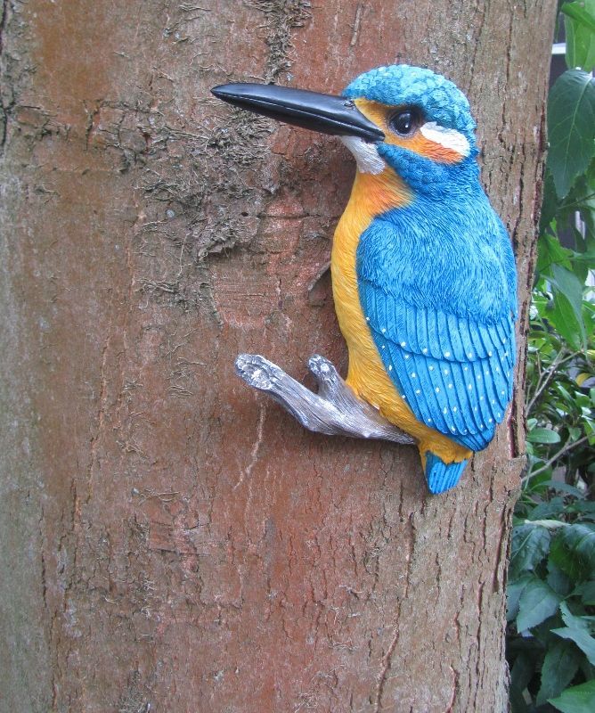 IJSVOGEL  (L) THE BEAUTY