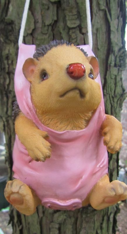 CLAYRE & EEF - HANG EGELTJE