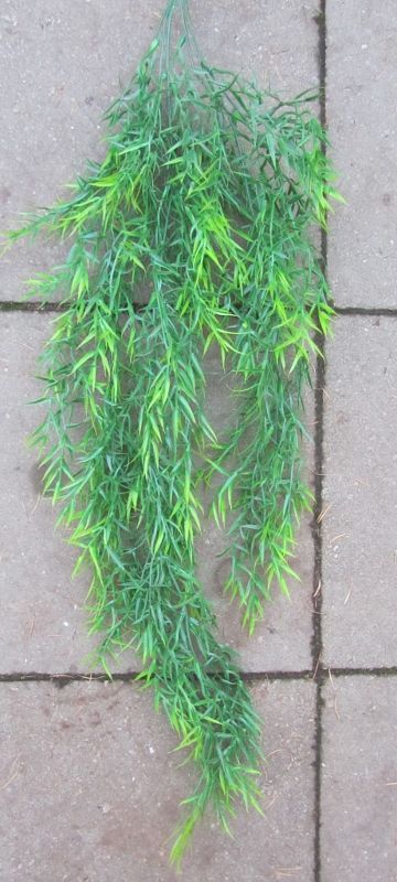 LEUKE GROENE TAK - KUNST - HANGING GARDEN