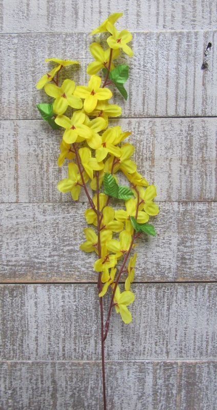 FORSYTHIA - KUNST - KOOPJE