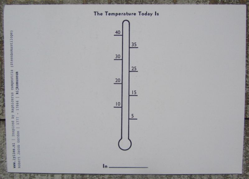 STERRENBEELD KAARTEN (KUNST) LEEUW