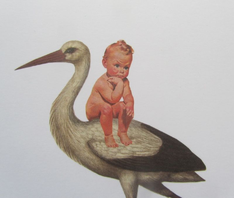 BABY OP OOIEVAAR - KAART