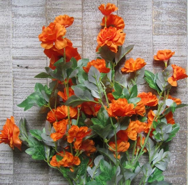 De Stengel Van Een Huisplant Met Wortels Voor Reproductie En Planten Met Een Pot Met Aarde Hobby S En Verzorging Van Potplanten Veredeling Van Zakelijke Stekken 292419 3349