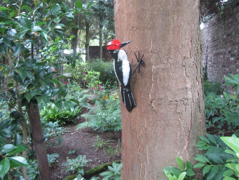 BONTE  SPECHT - STREET ART - FAIRTRADE