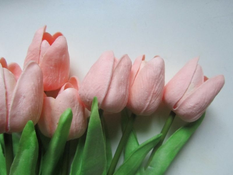 TULPJES - REAL TOUCH - ZALM ROZE