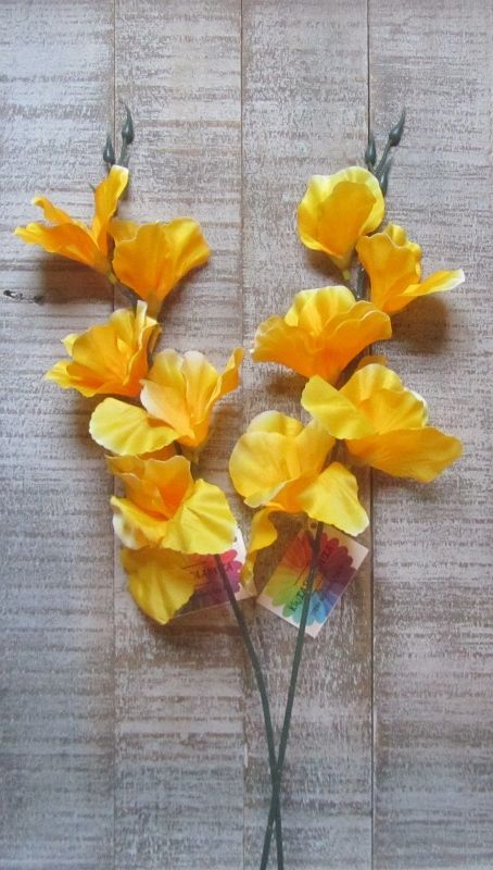 GLADIOOL - KUNST (KORT)  GEEL